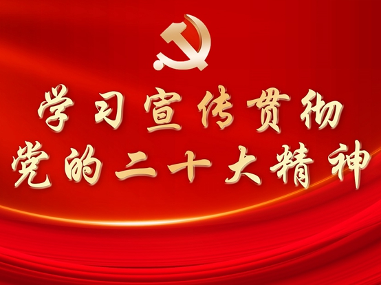 學(xué)習(xí)宣傳貫徹黨的二十大精神