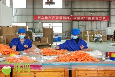 火爆!天貓雙十一小家電銷量巨增