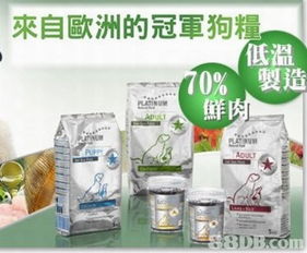 petdoghk.com online pet shop提供寵物食物及日用品